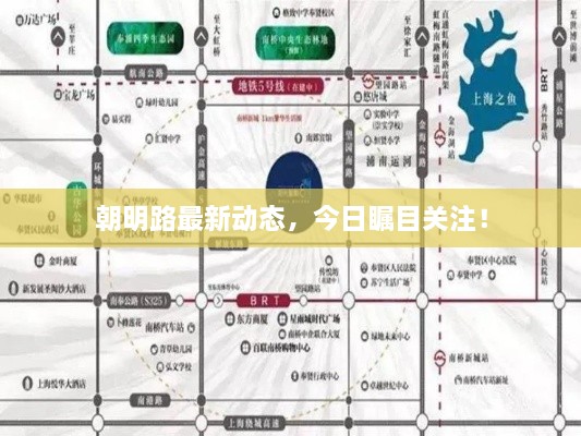 朝明路最新動態(tài)，今日矚目關(guān)注！