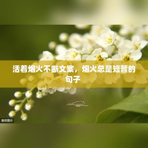 活著煙火不斷文案，煙火總是短暫的句子 
