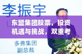 東盟集團股票，投資機遇與挑戰(zhàn)，雙重考量不容錯過