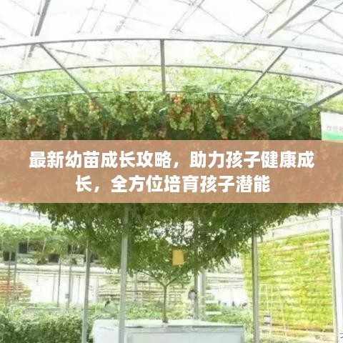 最新幼苗成長(zhǎng)攻略，助力孩子健康成長(zhǎng)，全方位培育孩子潛能