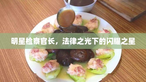 明星檢察官長，法律之光下的閃耀之星