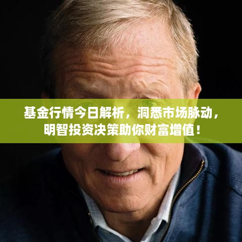 基金行情今日解析，洞悉市場脈動，明智投資決策助你財(cái)富增值！