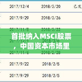 首批納入MSCI股票，中國資本市場(chǎng)里程碑事件揭曉！