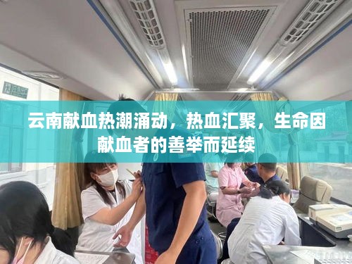 云南獻(xiàn)血熱潮涌動，熱血匯聚，生命因獻(xiàn)血者的善舉而延續(xù)