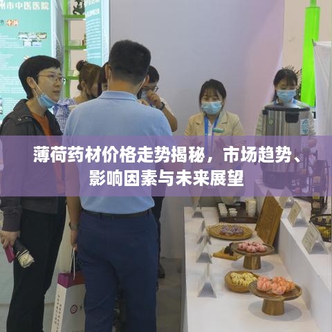 薄荷藥材價(jià)格走勢揭秘，市場趨勢、影響因素與未來展望