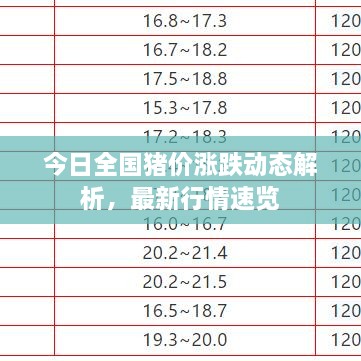 今日全國豬價(jià)漲跌動態(tài)解析，最新行情速覽