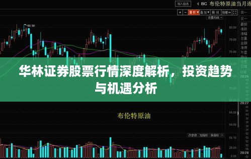 華林證券股票行情深度解析，投資趨勢(shì)與機(jī)遇分析