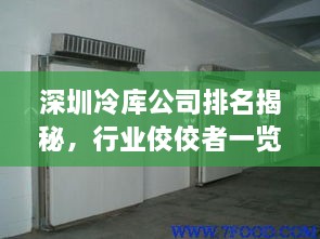 深圳冷庫公司排名揭秘，行業(yè)佼佼者一覽無余