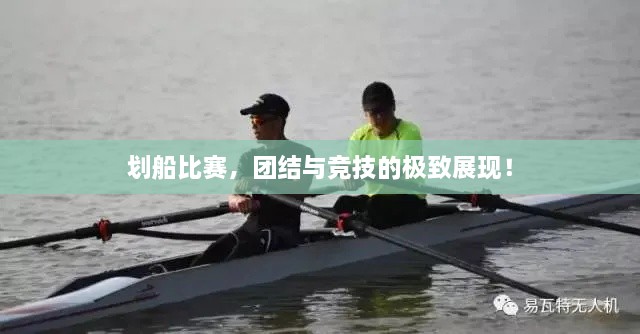 劃船比賽，團(tuán)結(jié)與競(jìng)技的極致展現(xiàn)！