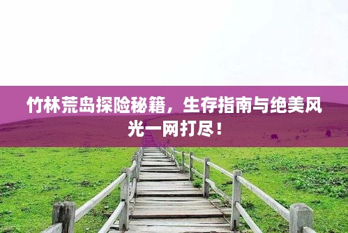 竹林荒島探險(xiǎn)秘籍，生存指南與絕美風(fēng)光一網(wǎng)打盡！