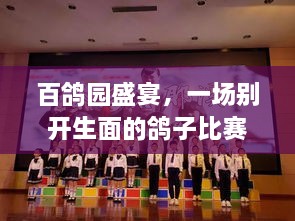 百鴿園盛宴，一場別開生面的鴿子比賽盛宴！