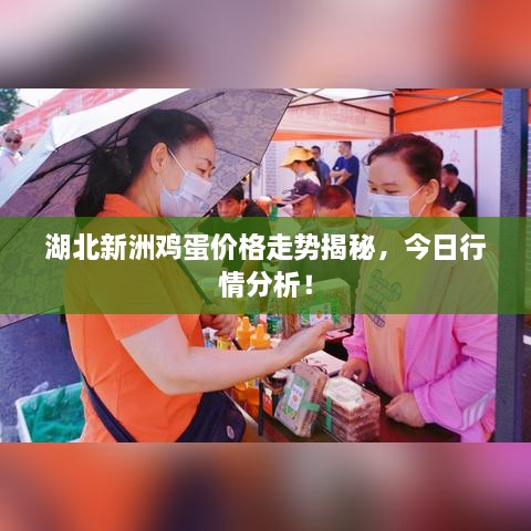 湖北新洲雞蛋價格走勢揭秘，今日行情分析！