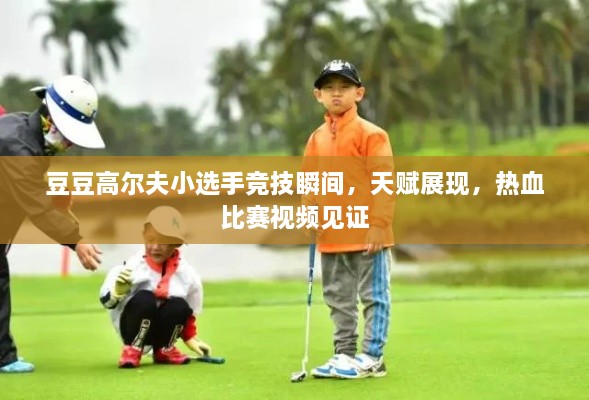 豆豆高爾夫小選手競(jìng)技瞬間，天賦展現(xiàn)，熱血比賽視頻見證