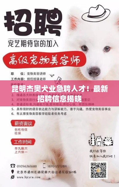 昆明杰奧犬業(yè)急聘人才！最新招聘信息揭曉