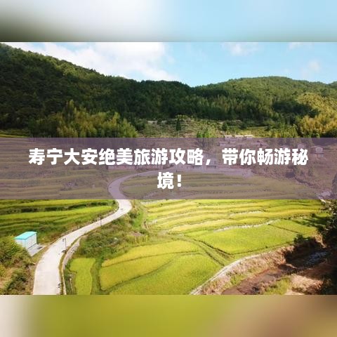壽寧大安絕美旅游攻略，帶你暢游秘境！