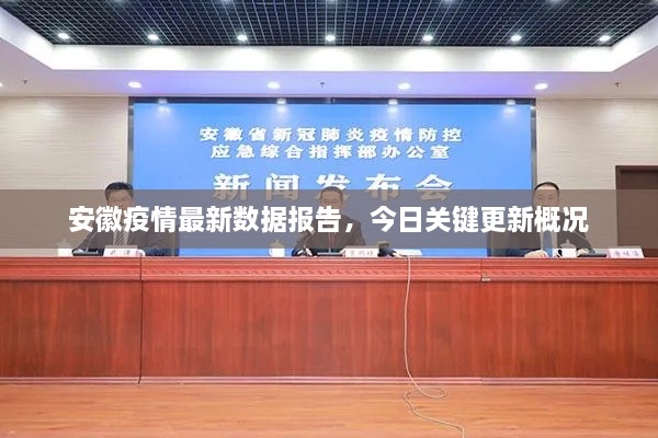 安徽疫情最新數(shù)據(jù)報告，今日關鍵更新概況