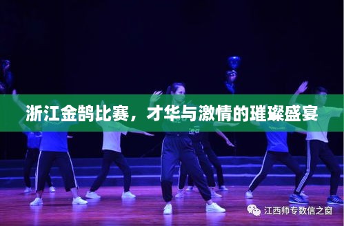 浙江金鵠比賽，才華與激情的璀璨盛宴