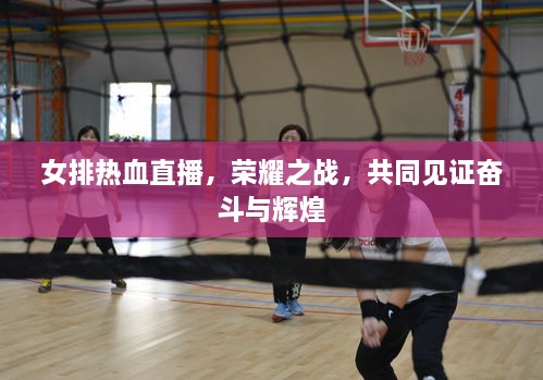 女排熱血直播，榮耀之戰(zhàn)，共同見證奮斗與輝煌