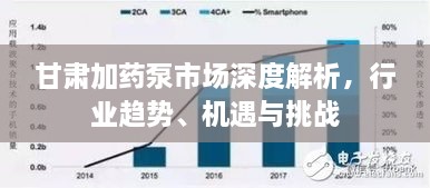 甘肅加藥泵市場深度解析，行業(yè)趨勢、機(jī)遇與挑戰(zhàn)