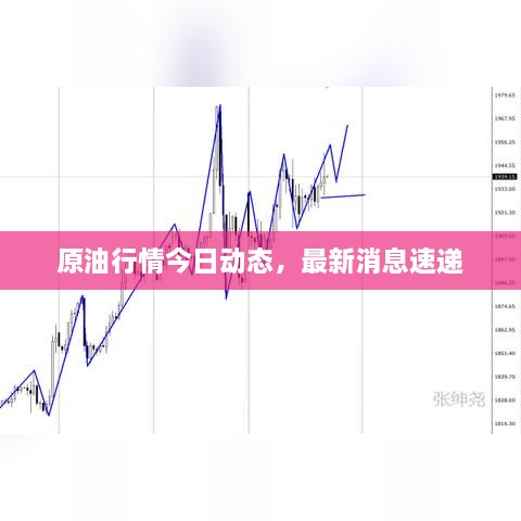 原油行情今日動態(tài)，最新消息速遞
