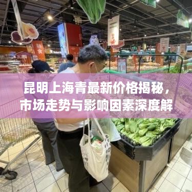 解決方案 第36頁
