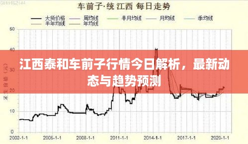 江西泰和車前子行情今日解析，最新動(dòng)態(tài)與趨勢(shì)預(yù)測(cè)