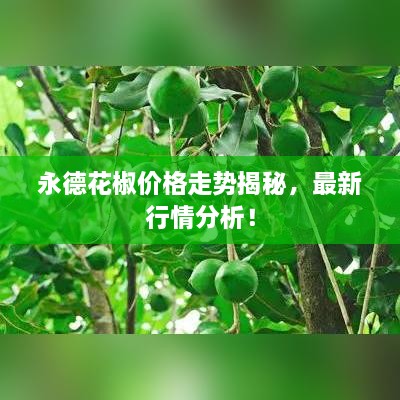 永德花椒價(jià)格走勢(shì)揭秘，最新行情分析！