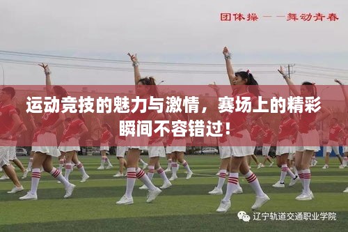 運動競技的魅力與激情，賽場上的精彩瞬間不容錯過！