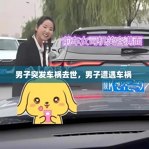 男子突發(fā)車禍去世，男子遭遇車禍 