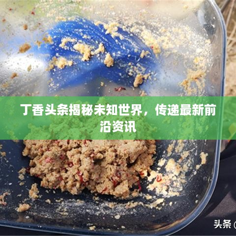 丁香頭條揭秘未知世界，傳遞最新前沿資訊