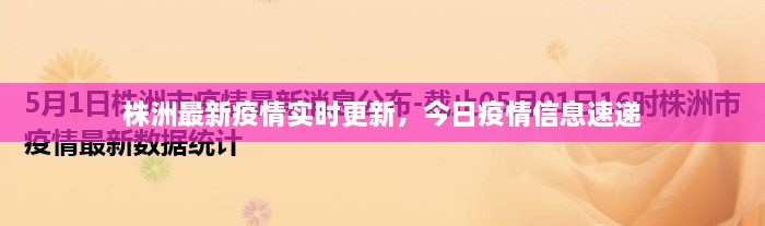 株洲最新疫情實時更新，今日疫情信息速遞