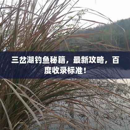 三岔湖釣魚秘籍，最新攻略，百度收錄標(biāo)準(zhǔn)！