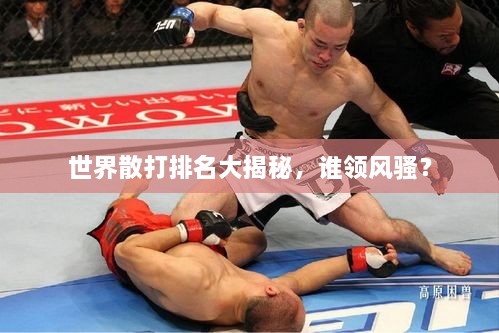 世界散打排名大揭秘，誰領(lǐng)風(fēng)騷？
