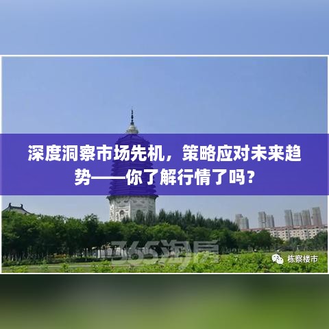 深度洞察市場先機，策略應對未來趨勢——你了解行情了嗎？