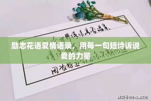 勵志花語愛情語錄，用每一句短詩訴說愛的力量