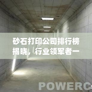 砂石打印公司排行榜揭曉，行業(yè)領軍者一覽