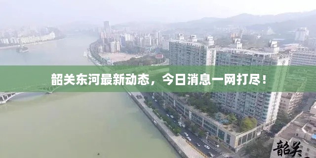 韶關(guān)東河最新動(dòng)態(tài)，今日消息一網(wǎng)打盡！