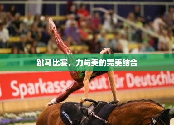 跳馬比賽，力與美的完美結(jié)合