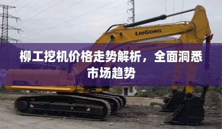 柳工挖機(jī)價(jià)格走勢(shì)解析，全面洞悉市場(chǎng)趨勢(shì)