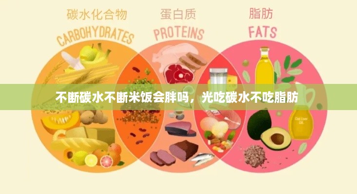 不斷碳水不斷米飯會胖嗎，光吃碳水不吃脂肪 