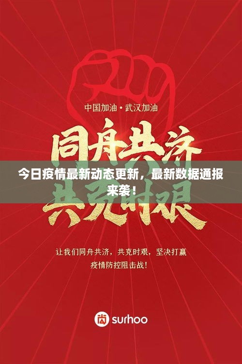 今日疫情最新動態(tài)更新，最新數(shù)據(jù)通報來襲！