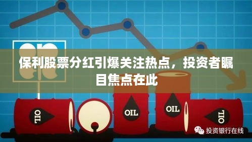 保利股票分紅引爆關(guān)注熱點，投資者矚目焦點在此