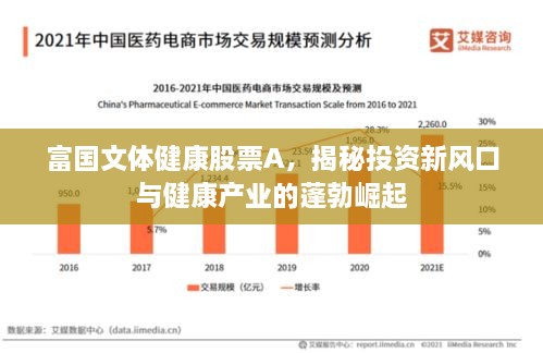 富國(guó)文體健康股票A，揭秘投資新風(fēng)口與健康產(chǎn)業(yè)的蓬勃崛起