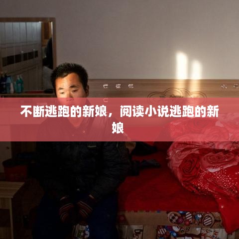 不斷逃跑的新娘，閱讀小說逃跑的新娘 