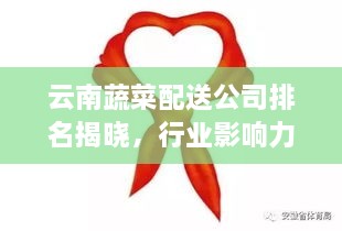 云南蔬菜配送公司排名揭曉，行業(yè)影響力大揭秘！