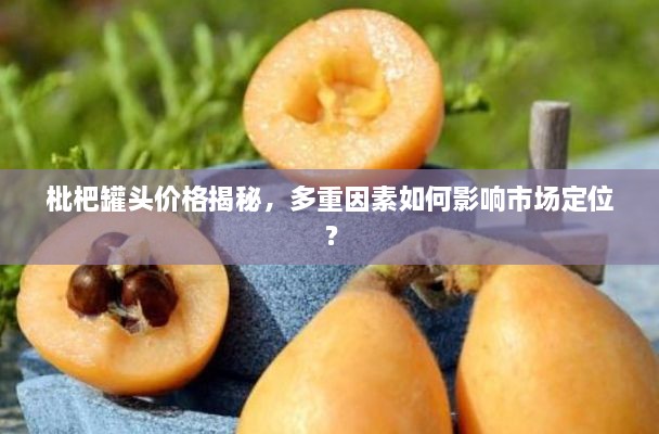 枇杷罐頭價(jià)格揭秘，多重因素如何影響市場(chǎng)定位？