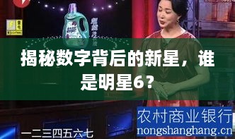 揭秘數(shù)字背后的新星，誰是明星6？