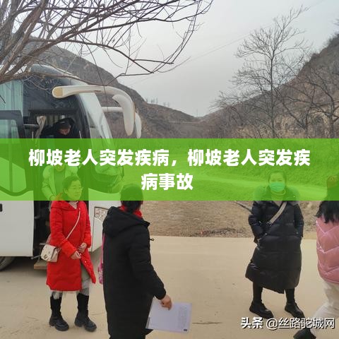 柳坡老人突發(fā)疾病，柳坡老人突發(fā)疾病事故 
