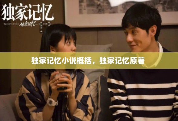 獨(dú)家記憶小說概括，獨(dú)家記憶原著 