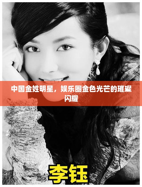 中國金姓明星，娛樂圈金色光芒的璀璨閃耀